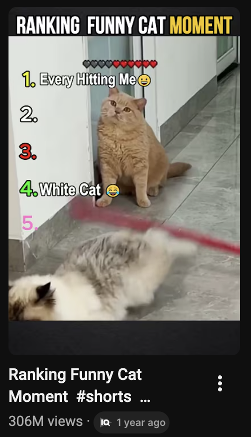 Ranking Shorts app screenshot